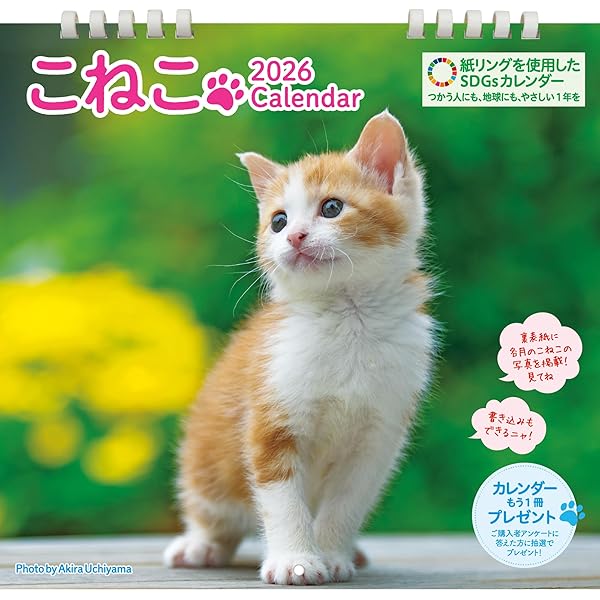 カレンダー2026 ミニカレンダー こねこ（月めくり/卓上・リング/猫